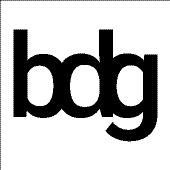 bdg better decisions group Logo